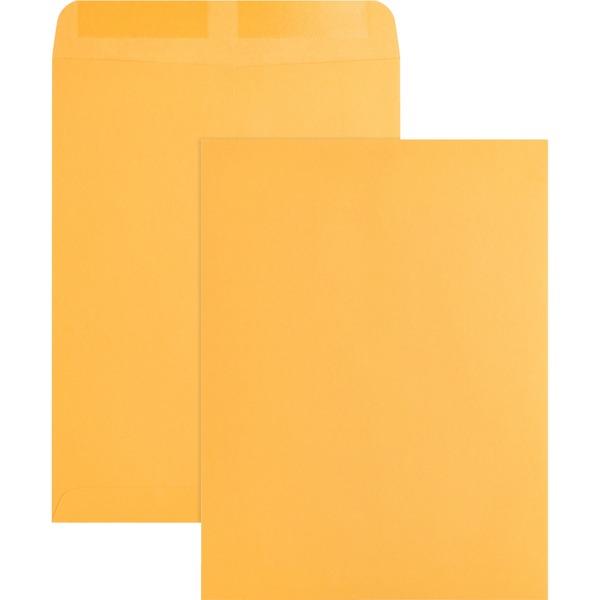 Business Source Kraft Gummed Catalog Envelopes - Catalog - #10 1/2 - 9