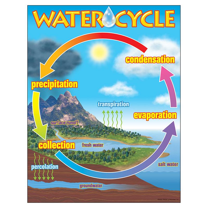 Knowledge Tree Trend Enterprises Inc The Water Cycle Learning Chart