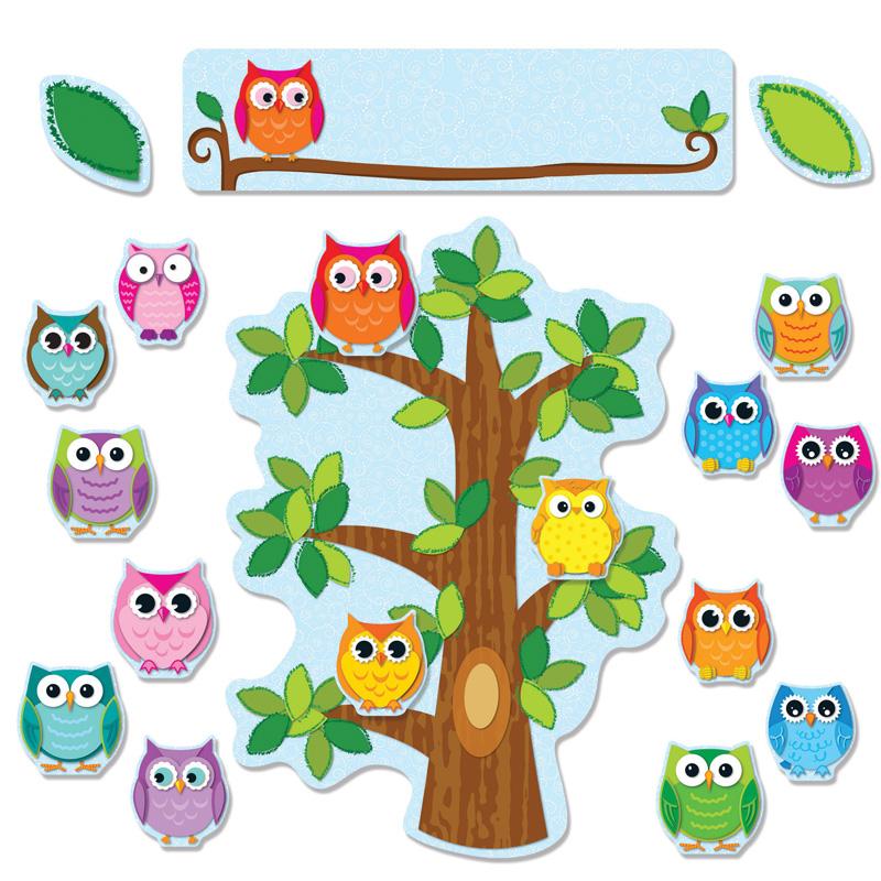 Colorful Owls Behavior  Bbs