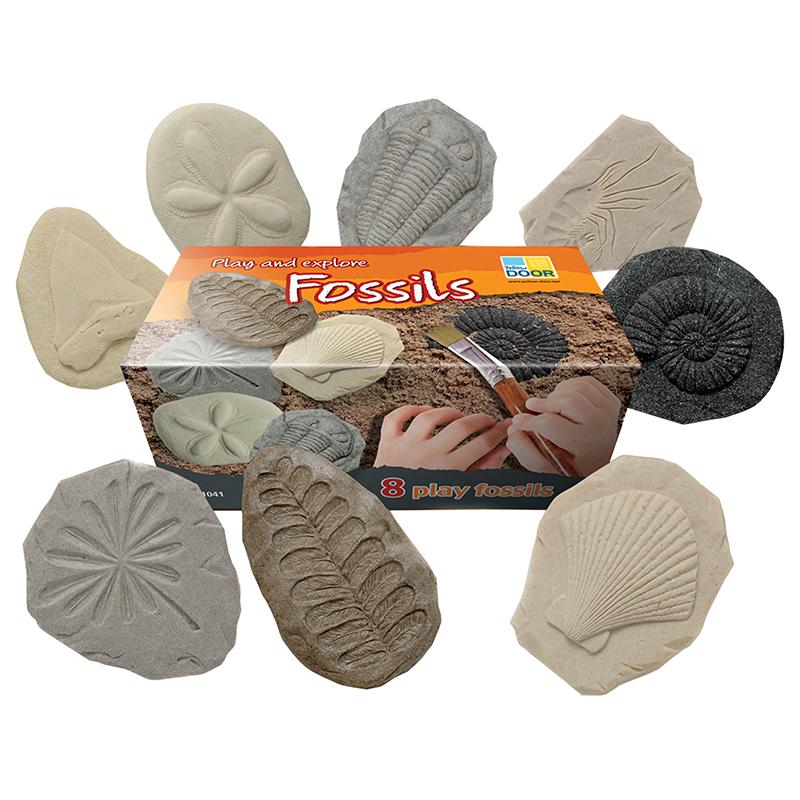 Play And Explore Fossils, Set Of 8