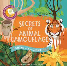 Shine-A-Light, Secrets of Animal Camouflage