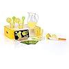 Pretendables Lemonade Set